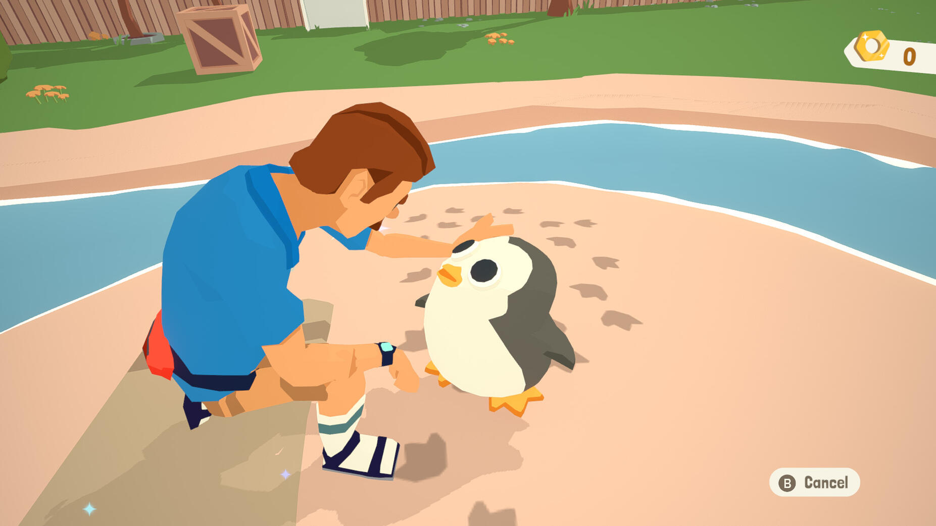 Penguin Pet